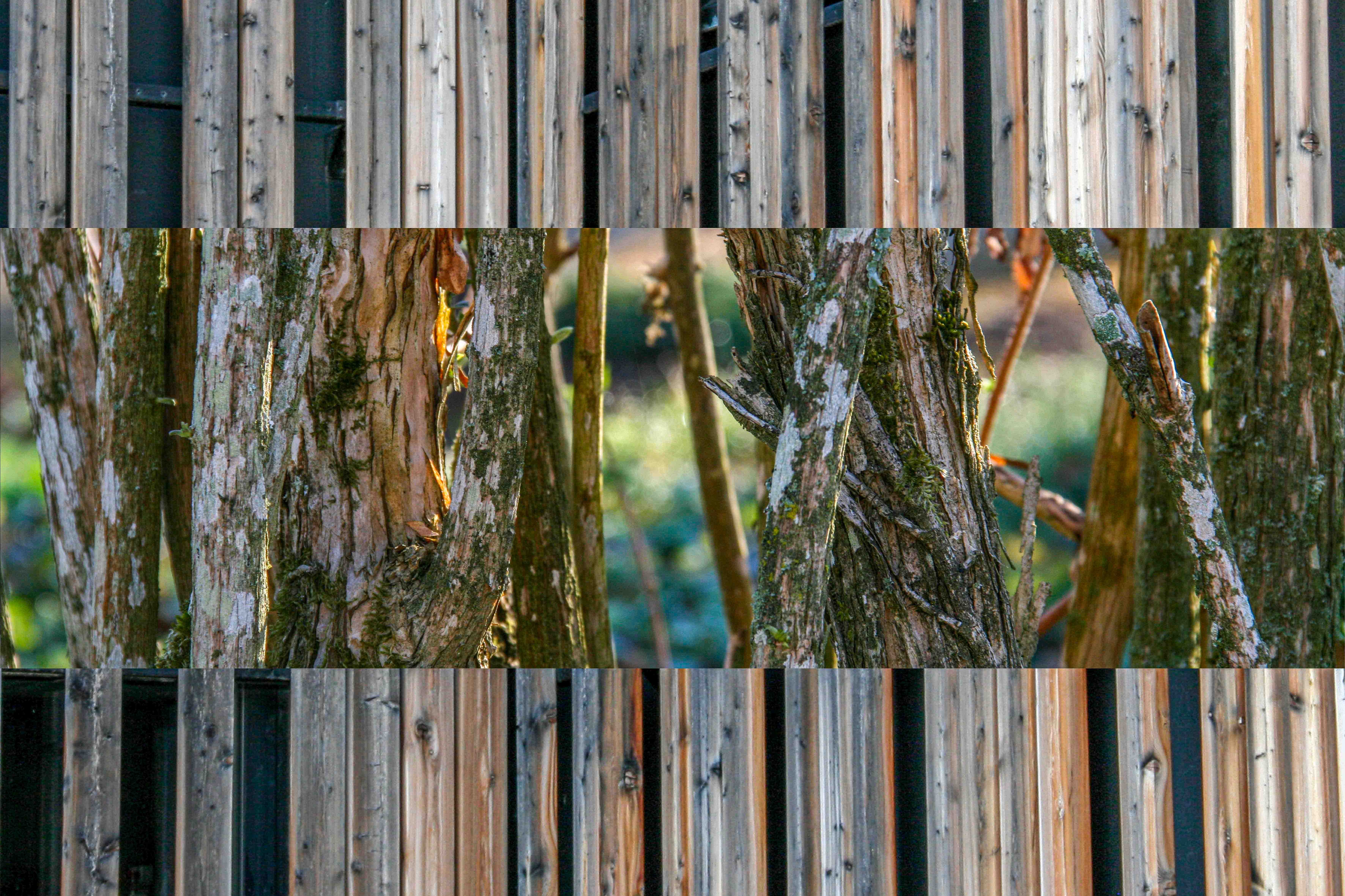 graphic design artwork Jean-Baptiste Charlemagne