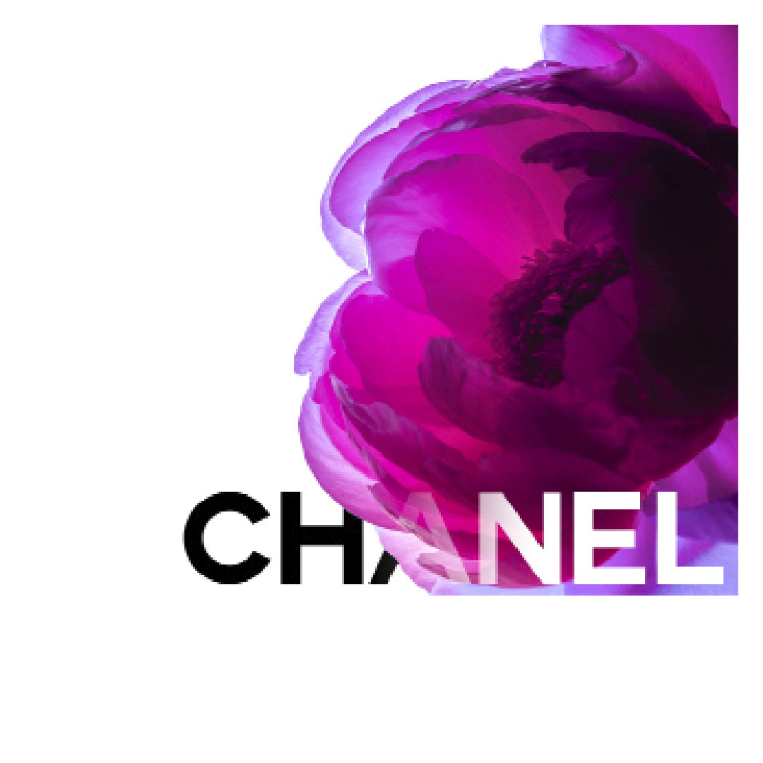 graphic design artwork Jean-Baptiste Charlemagne