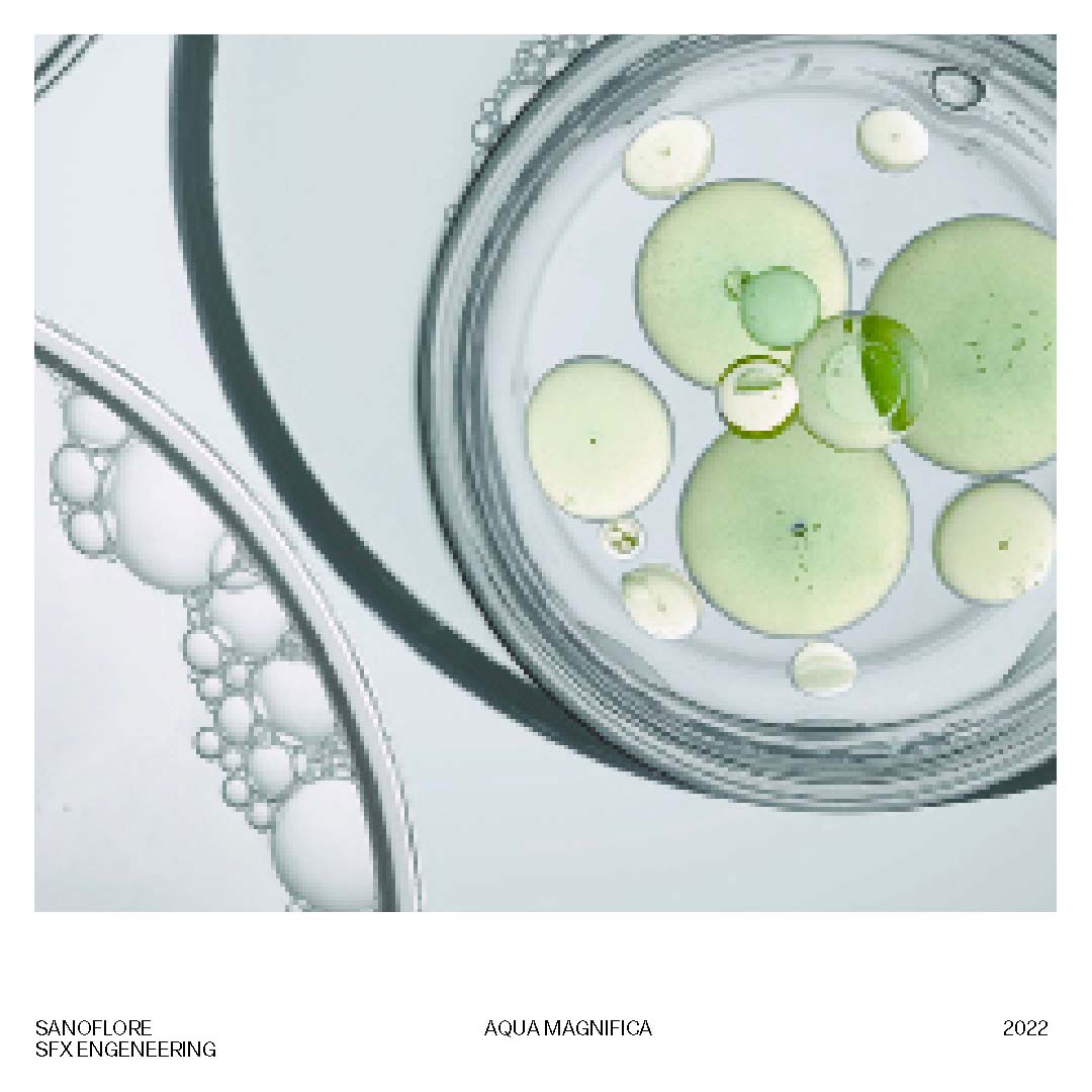 graphic design artwork Jean-Baptiste Charlemagne